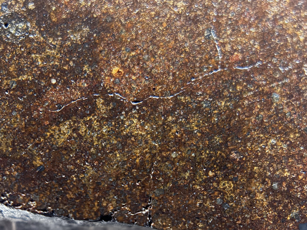 NWA 17916 CO3 Carbonaceous Chondrite Meteorite End Cut, Main Mass with Fusion Crust, 320.79g