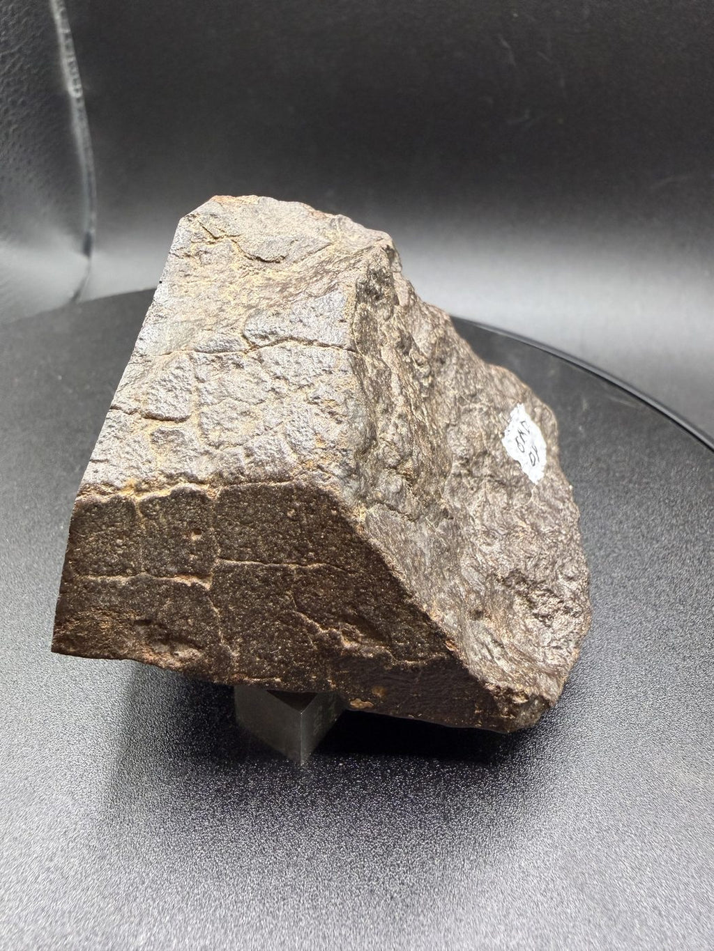 NWA 17916 CO3 Carbonaceous Chondrite Meteorite End Cut, Main Mass with Fusion Crust, 320.79g
