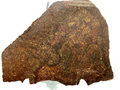 NWA 17916 CO3 chondrite 13.67g -- tightly packed small chondrules in dark carbon-rich matrix