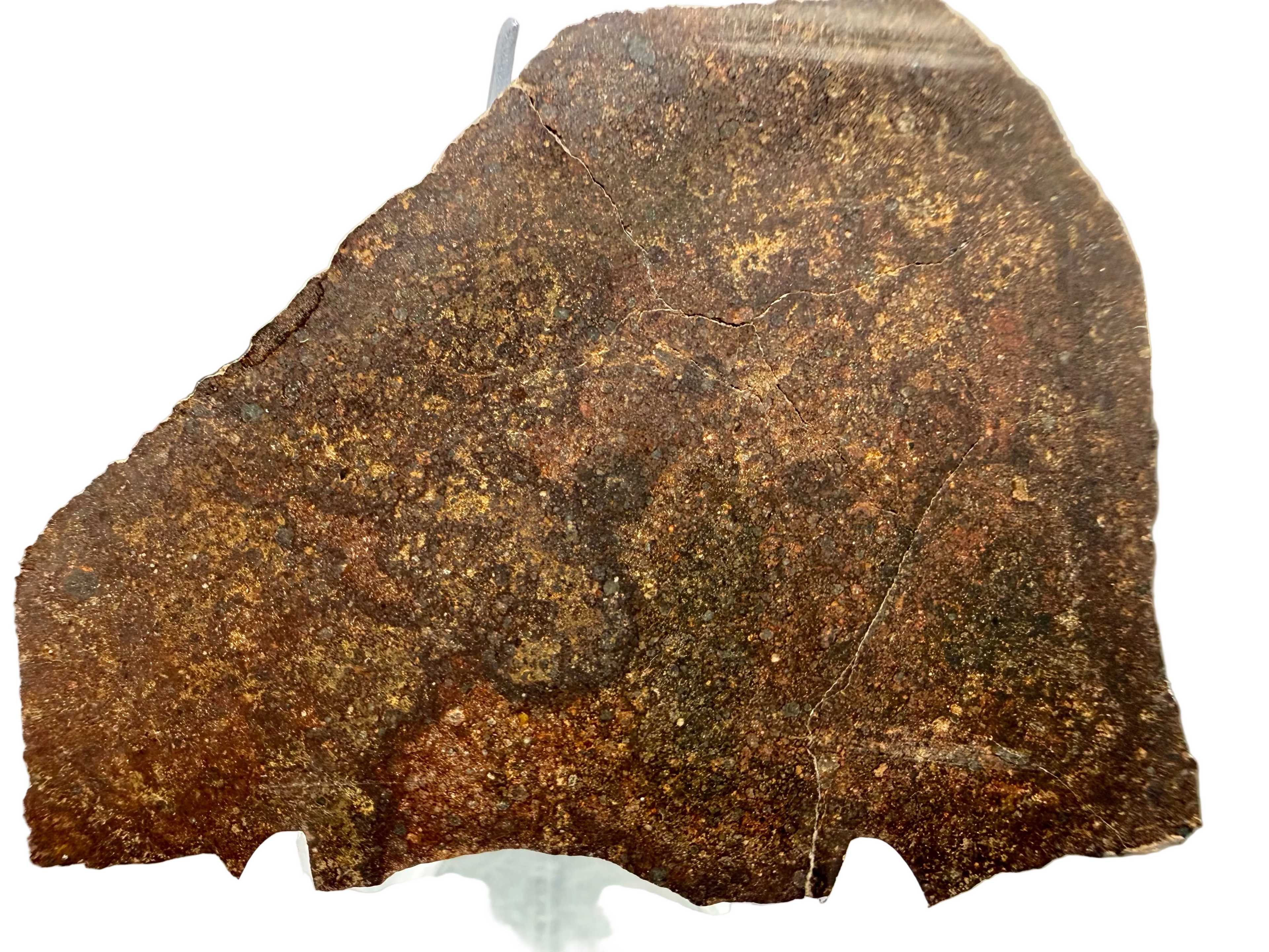 NWA 17916 CO3 chondrite 13.67g -- tightly packed small chondrules in dark carbon-rich matrix