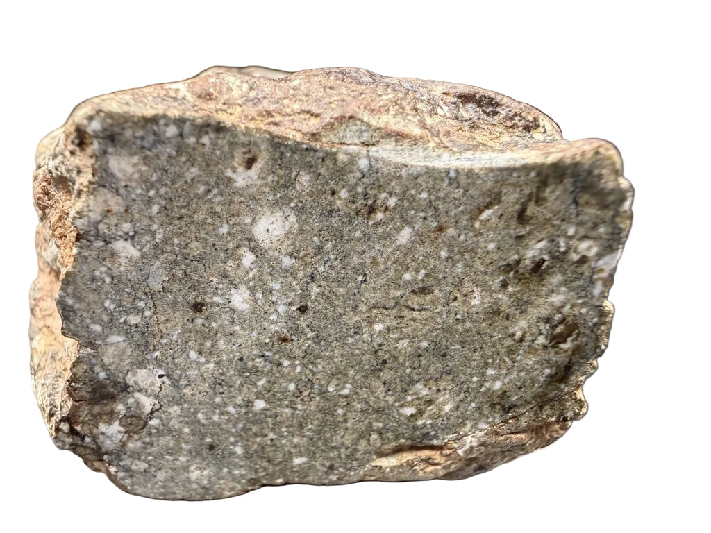 Close view of NWA 17918 Diogenite-pm meteorite showing the cut face and weathered rim, 123.55g
