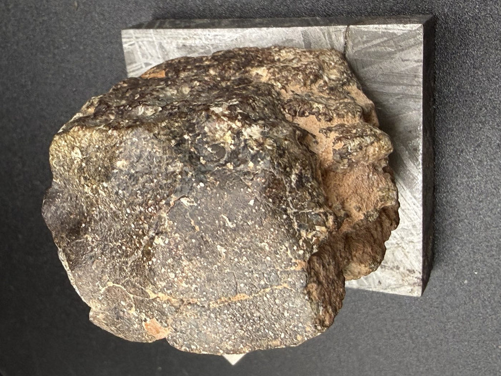 Overhead view of NWA 17918 Diogenite-pm meteorite showing the full cut surface, 123.55g