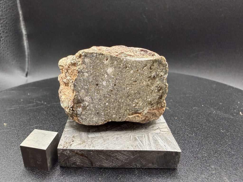 Cut face view of NWA 17918 Diogenite-pm meteorite showing angular white clasts in grey matrix, 123.55g
