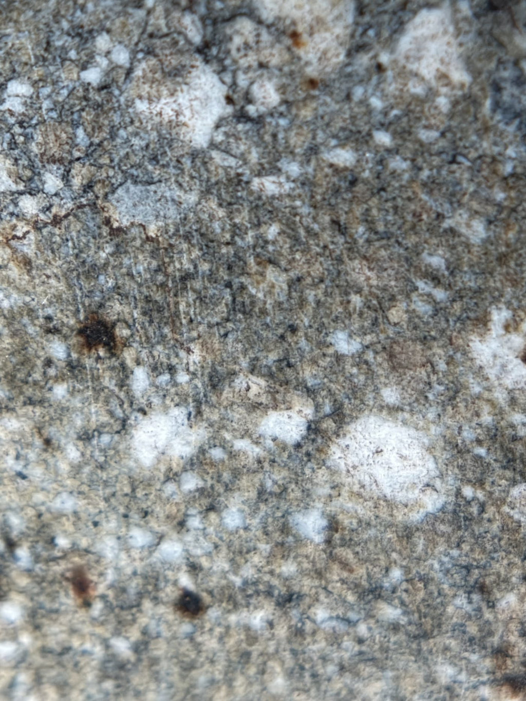 Macro view of NWA 17918 Diogenite-pm meteorite showing clasts set in fine-grained matrix, 123.55g
