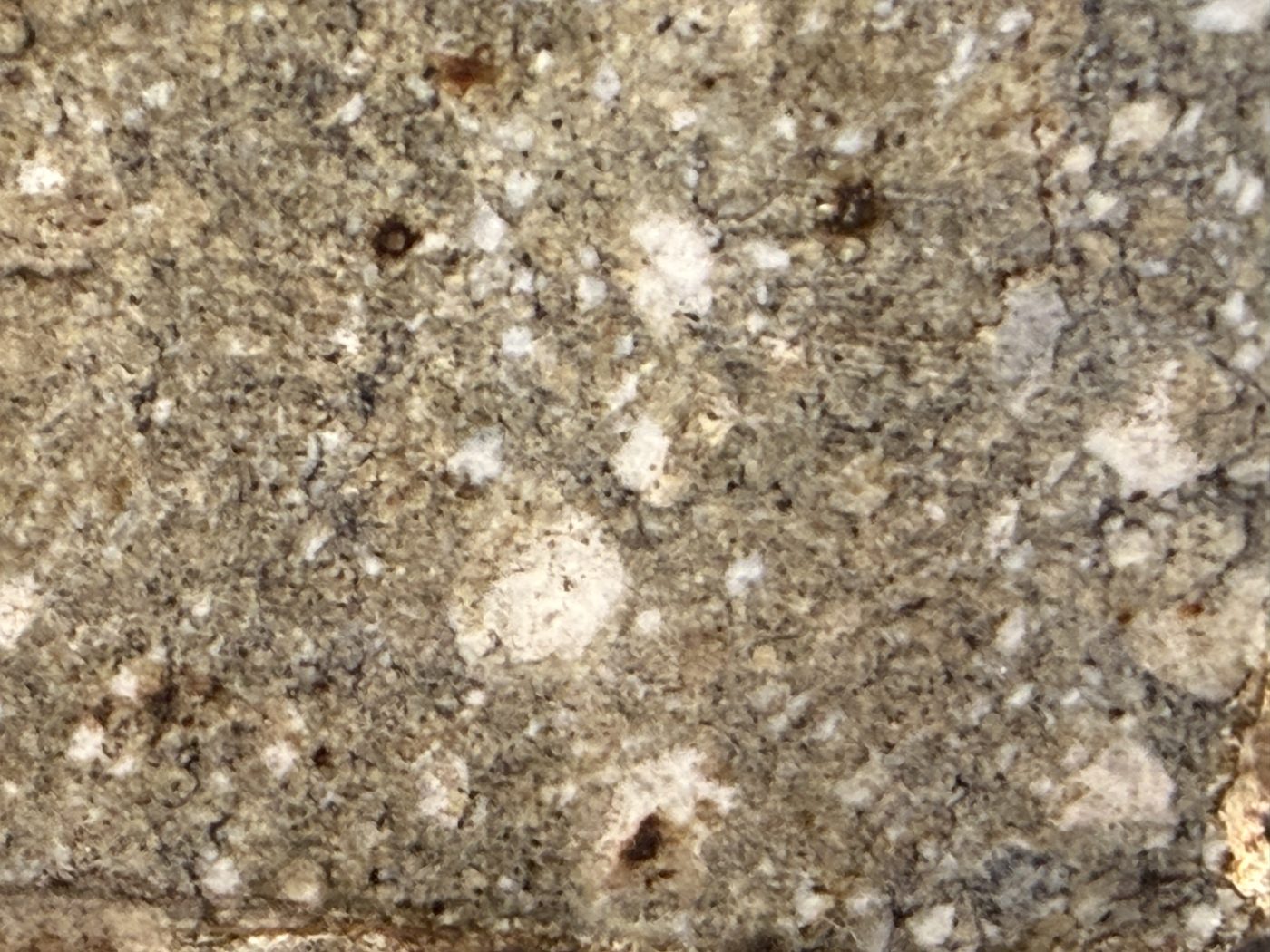 Macro view of NWA 17918 Diogenite-pm meteorite showing angular mineral clasts on the cut face, 123.55g