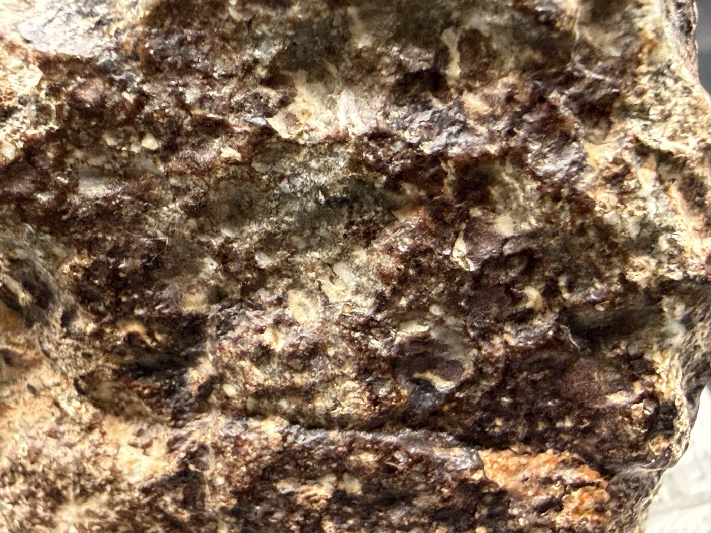 Macro view of NWA 17918 Diogenite-pm meteorite showing weathered exterior surface texture, 123.55g