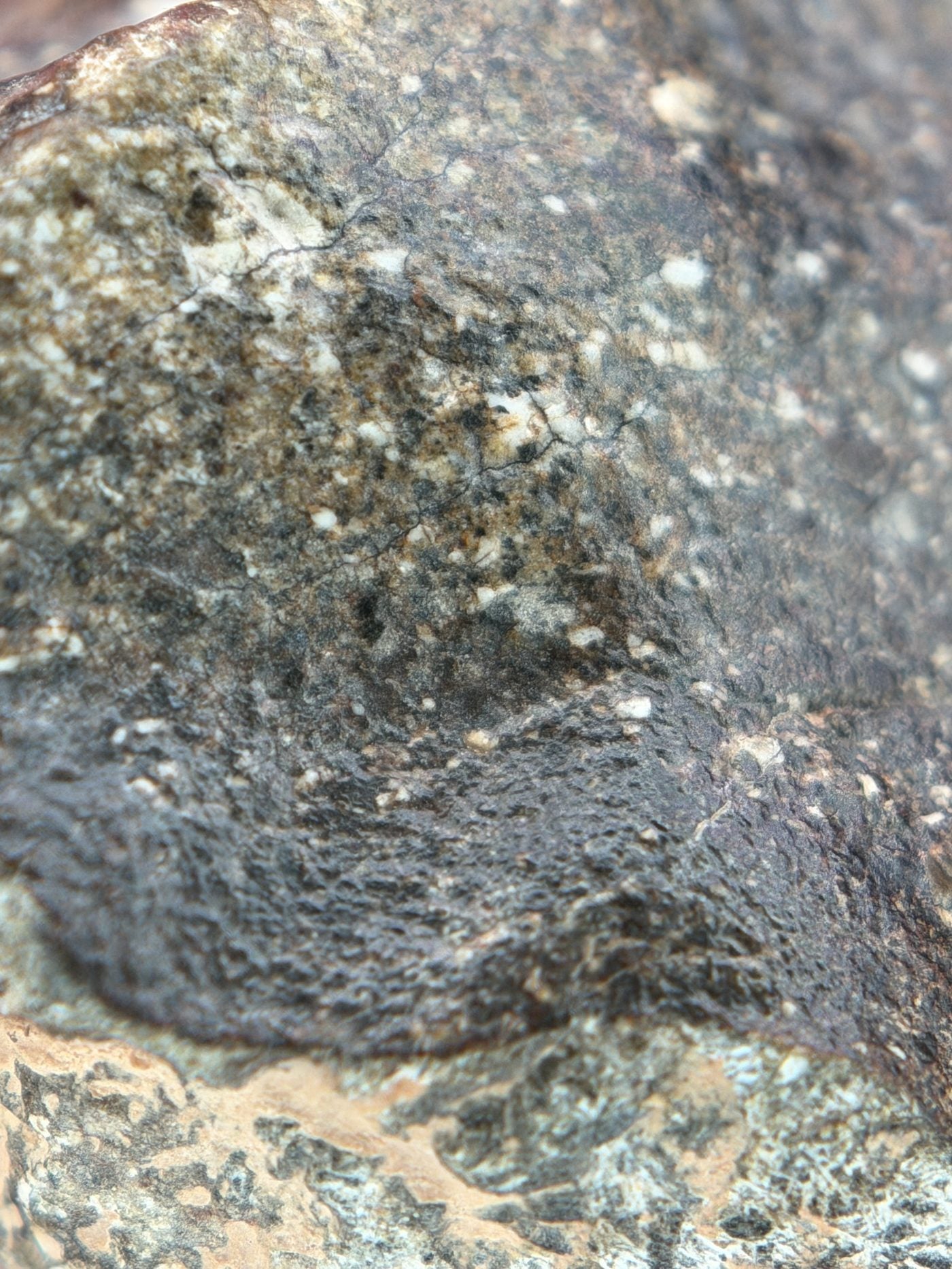 Macro view of NWA 17918 Diogenite-pm meteorite showing fusion crust surface detail, 123.55g