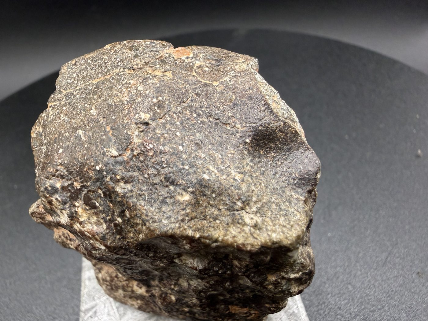 Exterior view of NWA 17918 Diogenite-pm meteorite showing dark partial fusion crust, 123.55g