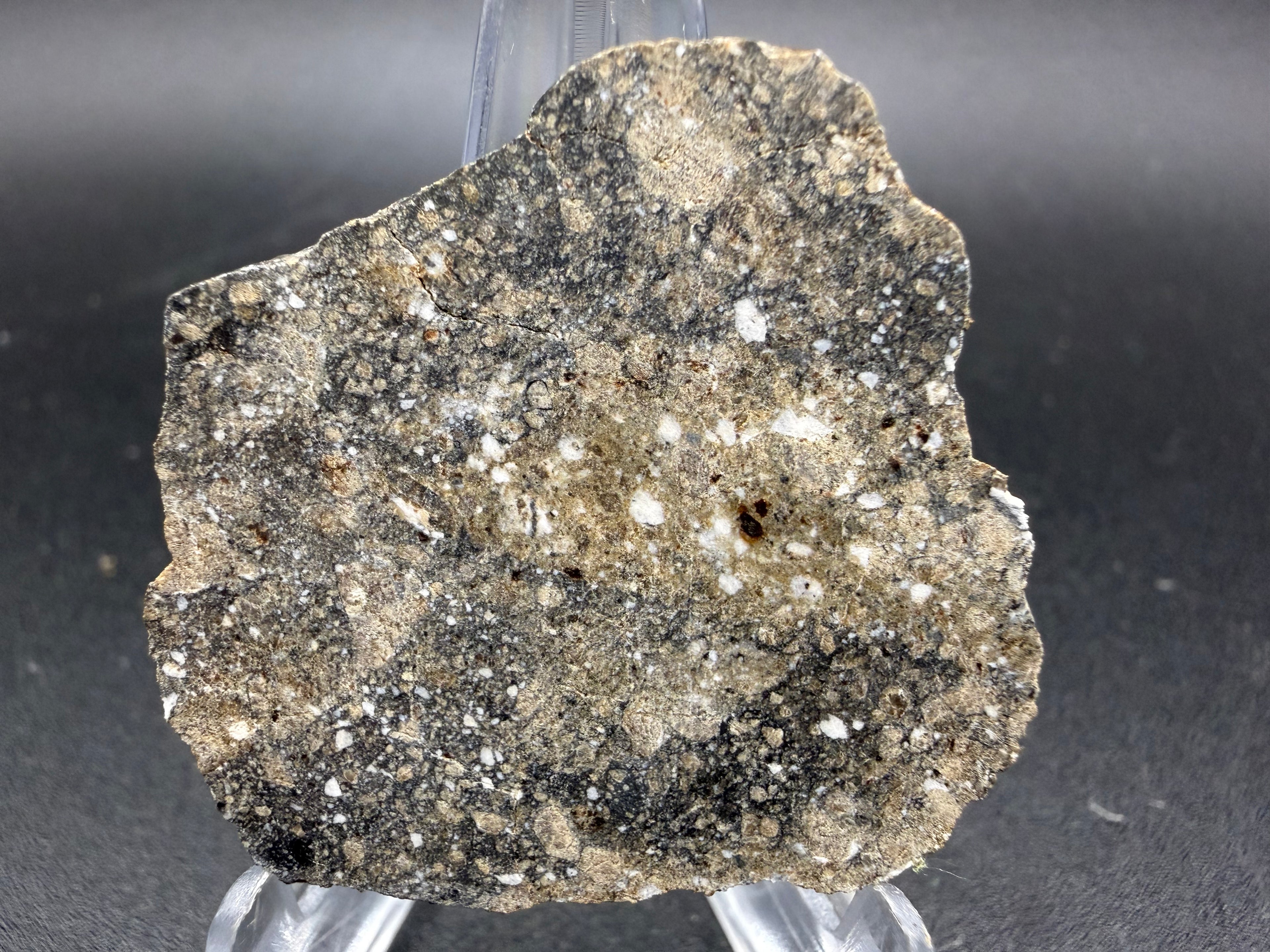 NWA 17918 Diogenit-pm Meteoriten Scheiben, HED Achondrit, polymikte Brekzie von Vesta, verschiedene Gewichte verfügbar