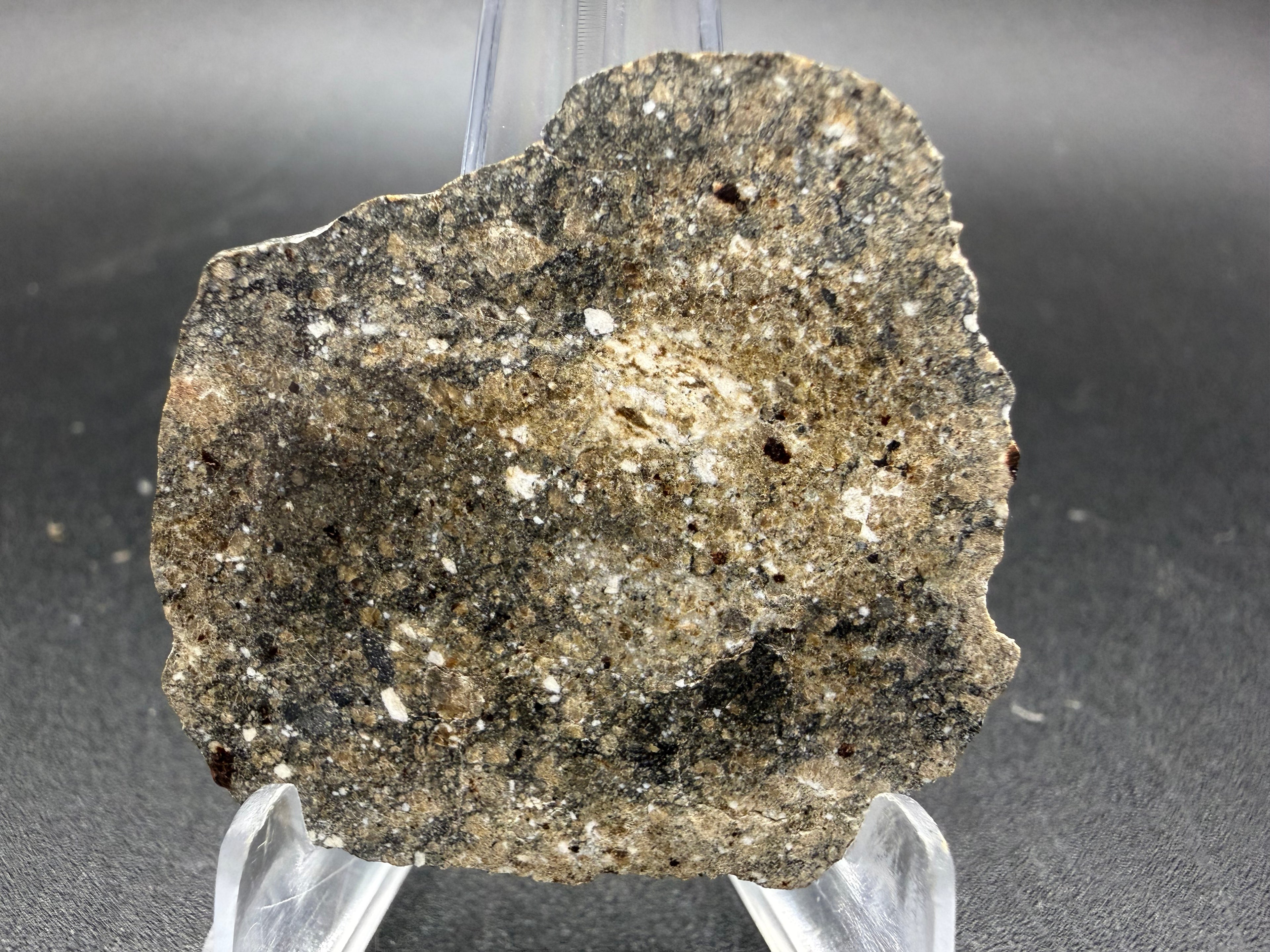 NWA 17918 Diogenit-pm Meteoriten Scheiben, HED Achondrit, polymikte Brekzie von Vesta, verschiedene Gewichte verfügbar