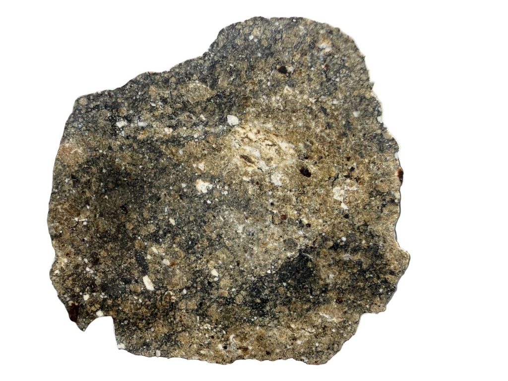 NWA 17918 diogenite-pm meteorite slice 9.29g -- HED achondrite from asteroid 4 Vesta, Treasure Coast Meteorite Co.