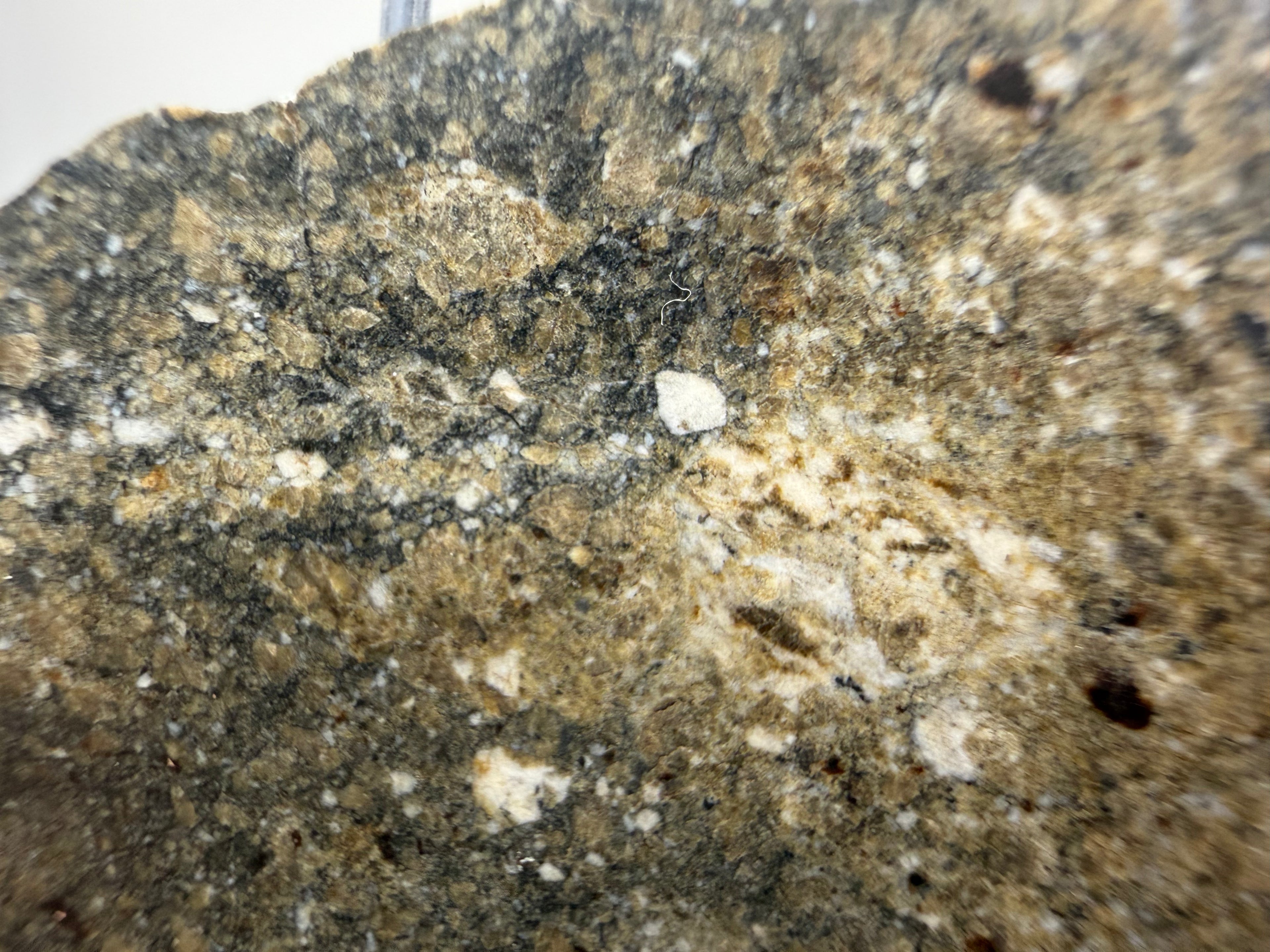 NWA 17918 diogenite meteorite 9.29g -- coarse crystalline orthopyroxene structure in plutonic achondrite