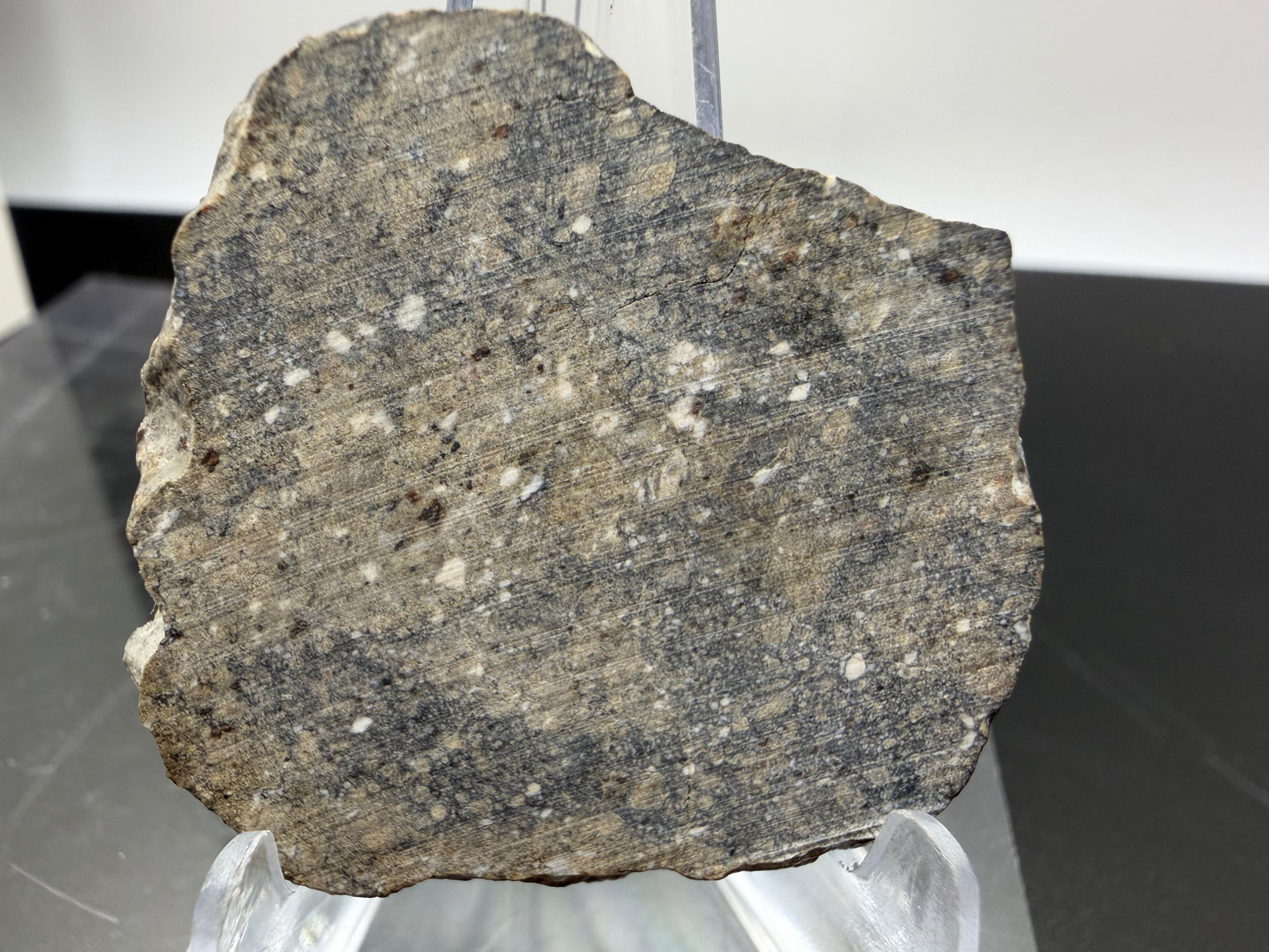 NWA 17918 diogenite meteorite 9.29g -- oblique view showing depth and relief of polymict texture