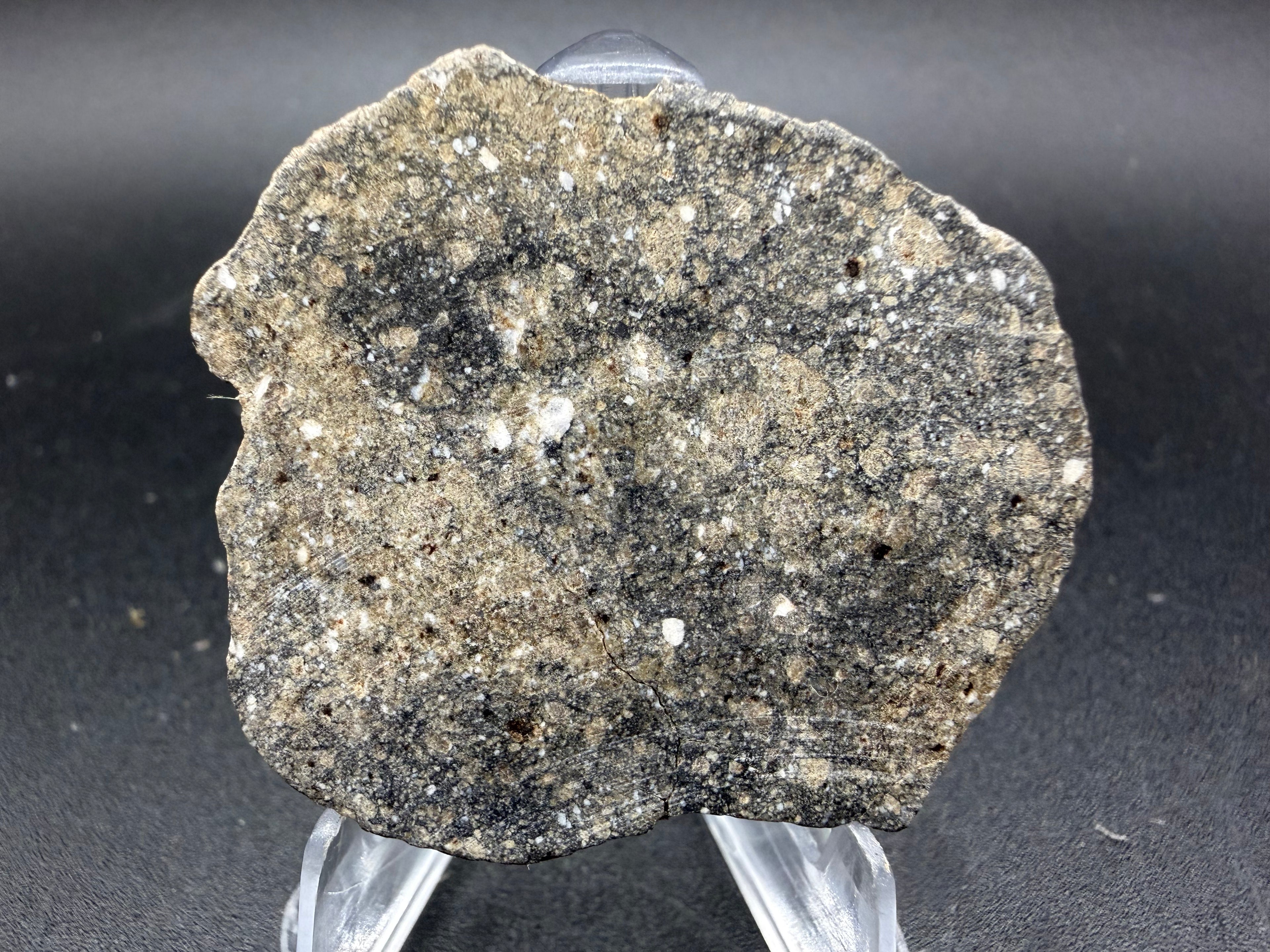 NWA 17918 Diogenit-pm Meteoriten Scheiben, HED Achondrit, polymikte Brekzie von Vesta, verschiedene Gewichte verfügbar