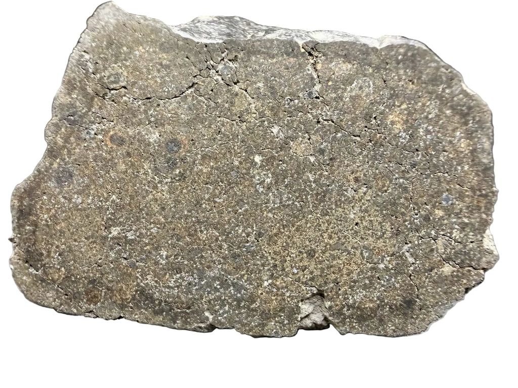 Close view of NWA 17920 CK6 meteorite showing fractured cut face and clast-rich zones, 279.83g