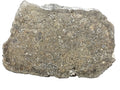 Close view of NWA 17920 CK6 meteorite showing fractured cut face and clast-rich zones, 279.83g