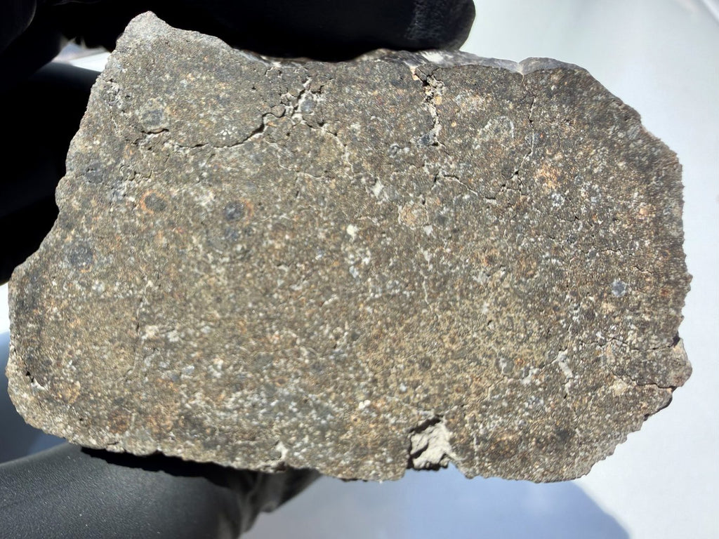 Detail view of NWA 17920 CK6 meteorite cut face showing fracture network in the matrix, 279.83g