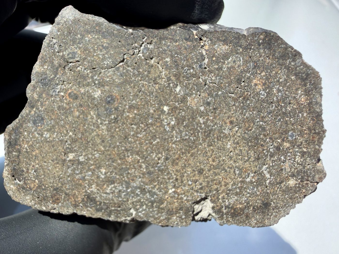Detail view of NWA 17920 CK6 meteorite cut face showing fracture network in the matrix, 279.83g