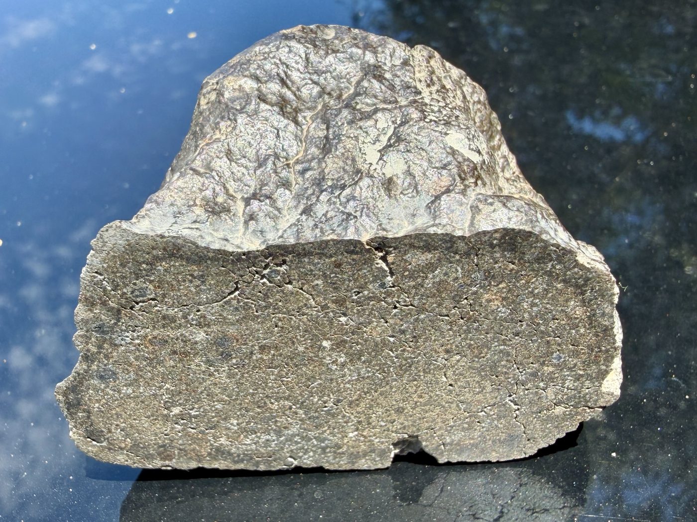 View of NWA 17920 CK6 meteorite showing cut face below primary fusion crust on the upper edge, 279.83g