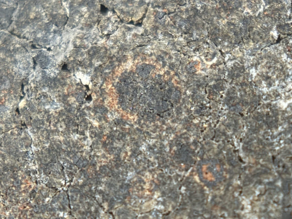 NWA 17920 CK6 Carbonaceous Chondrite Meteorite End Cut, Main Mass with Primary Fusion Crust, 279.83g