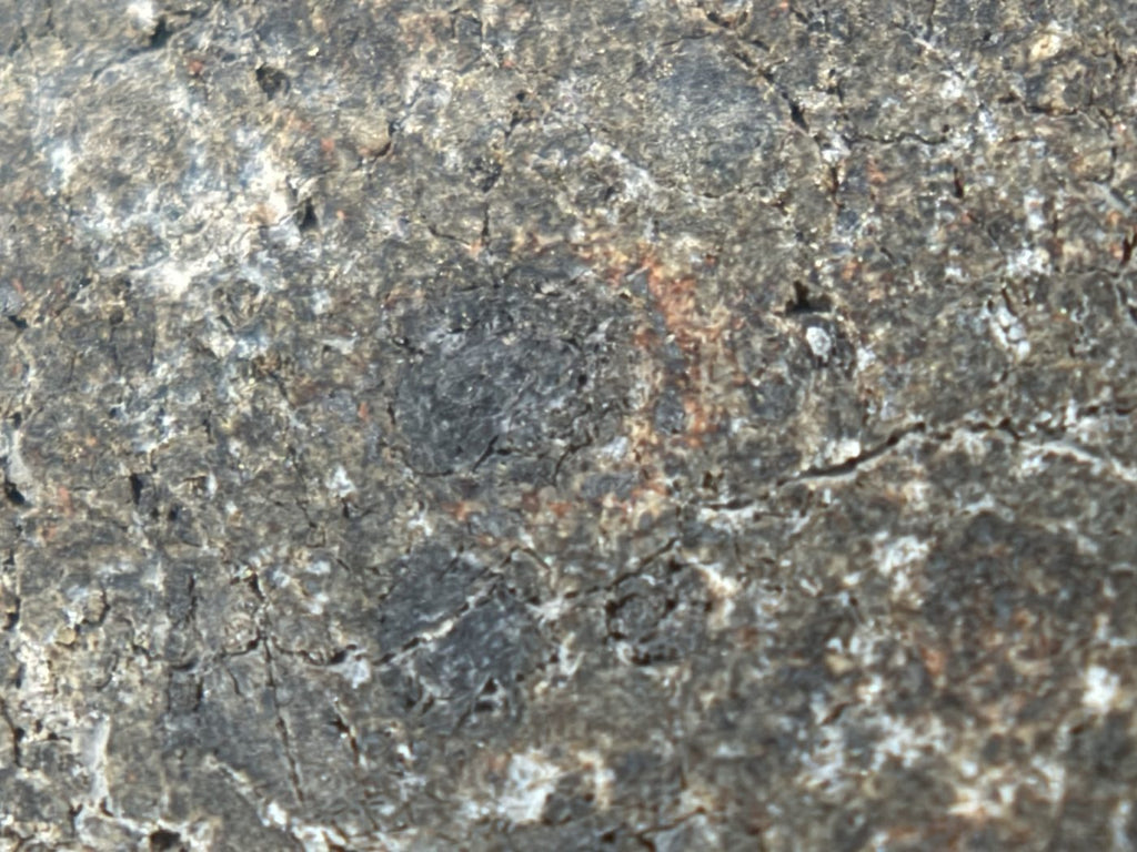 NWA 17920 CK6 Carbonaceous Chondrite Meteorite End Cut, Main Mass with Primary Fusion Crust, 279.83g