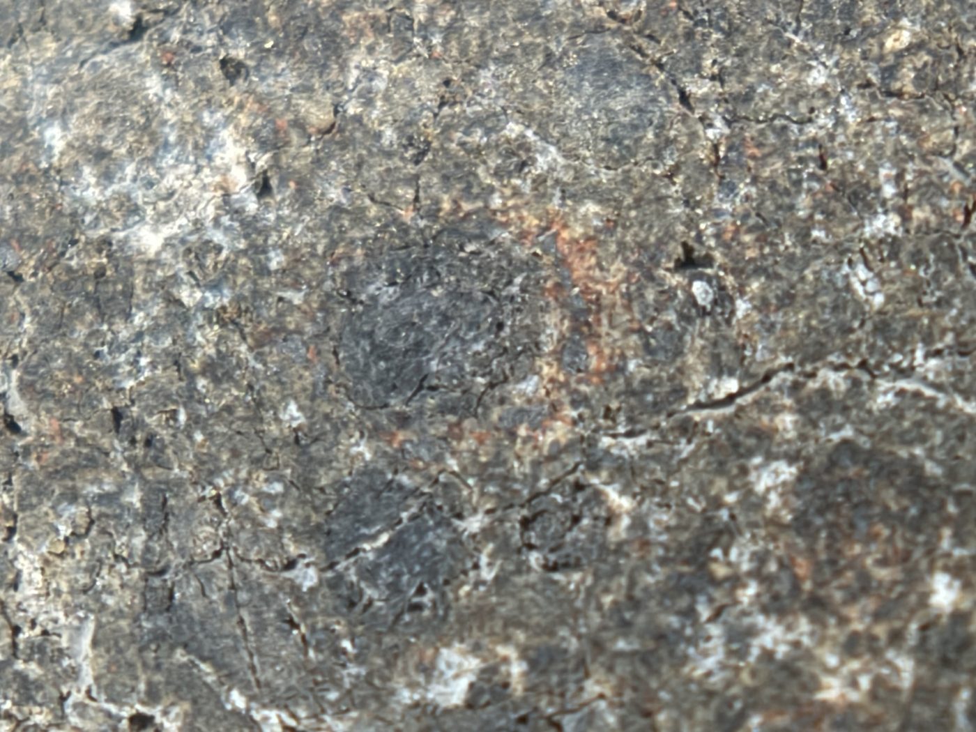 NWA 17920 CK6 Carbonaceous Chondrite Meteorite End Cut, Main Mass with Primary Fusion Crust, 279.83g