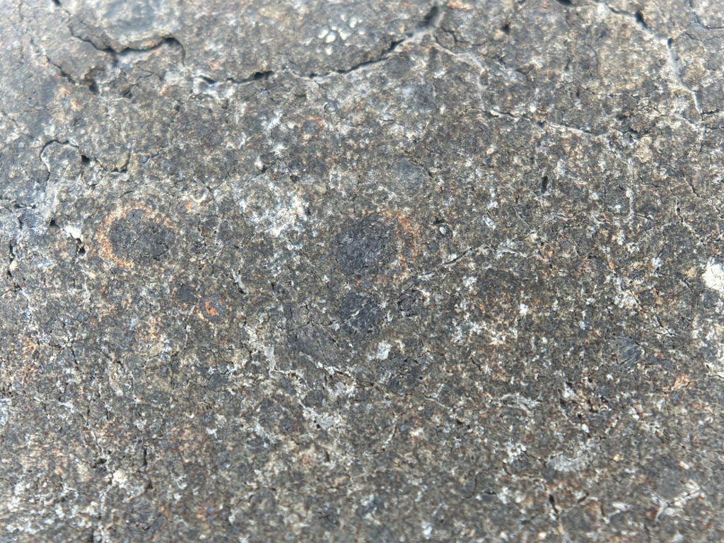 NWA 17920 CK6 Carbonaceous Chondrite Meteorite End Cut, Main Mass with Primary Fusion Crust, 279.83g