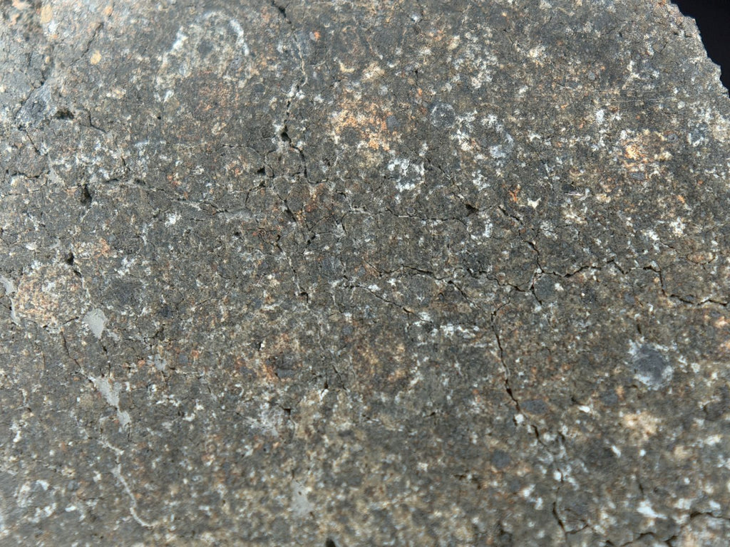 NWA 17920 CK6 Carbonaceous Chondrite Meteorite End Cut, Main Mass with Primary Fusion Crust, 279.83g