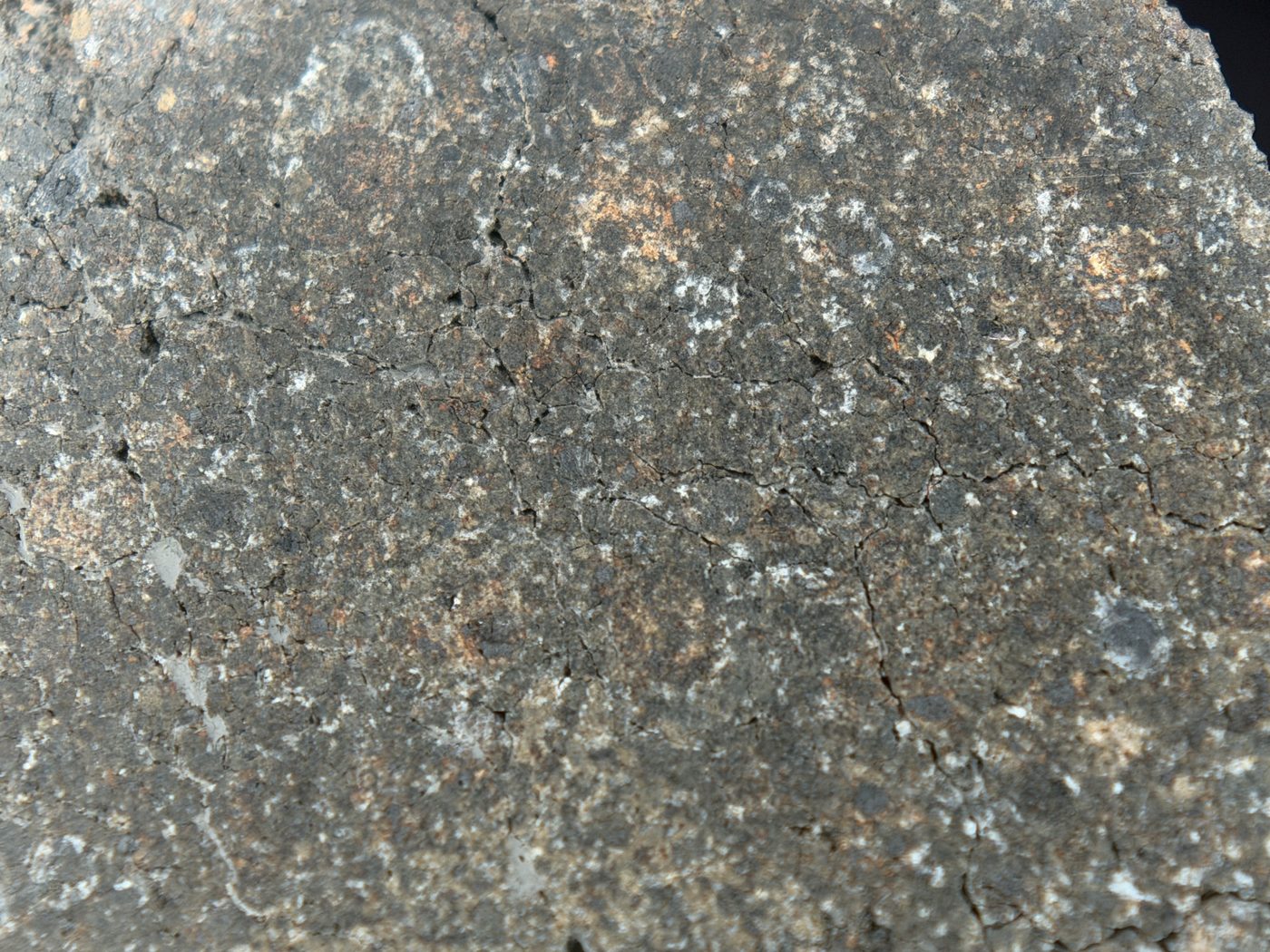 NWA 17920 CK6 Carbonaceous Chondrite Meteorite End Cut, Main Mass with Primary Fusion Crust, 279.83g
