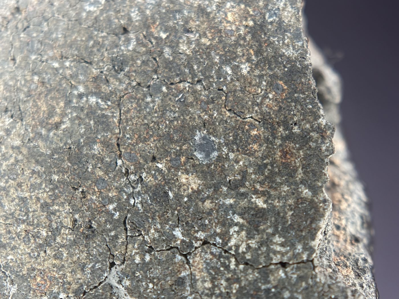 NWA 17920 CK6 Carbonaceous Chondrite Meteorite End Cut, Main Mass with Primary Fusion Crust, 279.83g