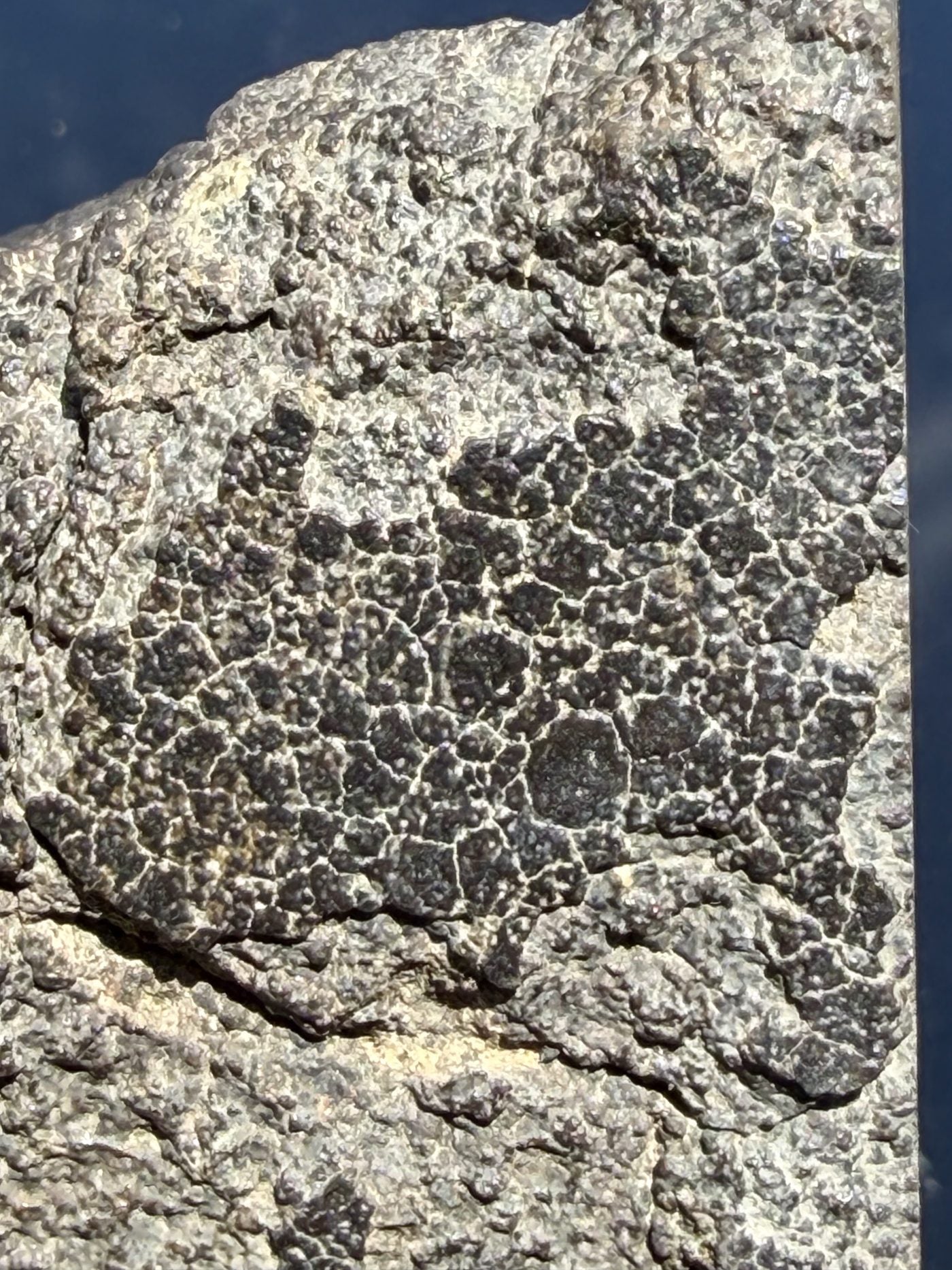 Macro view of NWA 17920 CK6 meteorite showing primary fusion crust with contraction crack network, 279.83g