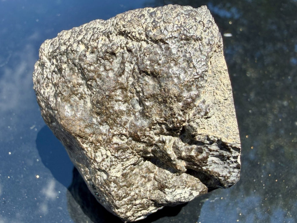 Exterior view of NWA 17920 CK6 meteorite showing primary fusion crust with shallow hollows, 279.83g