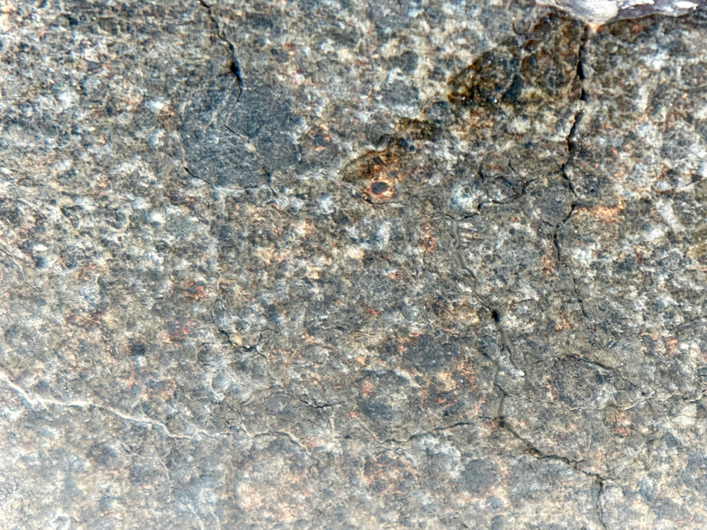 Macro view of NWA 17920 polished meteorite slice surface texture and chondrules