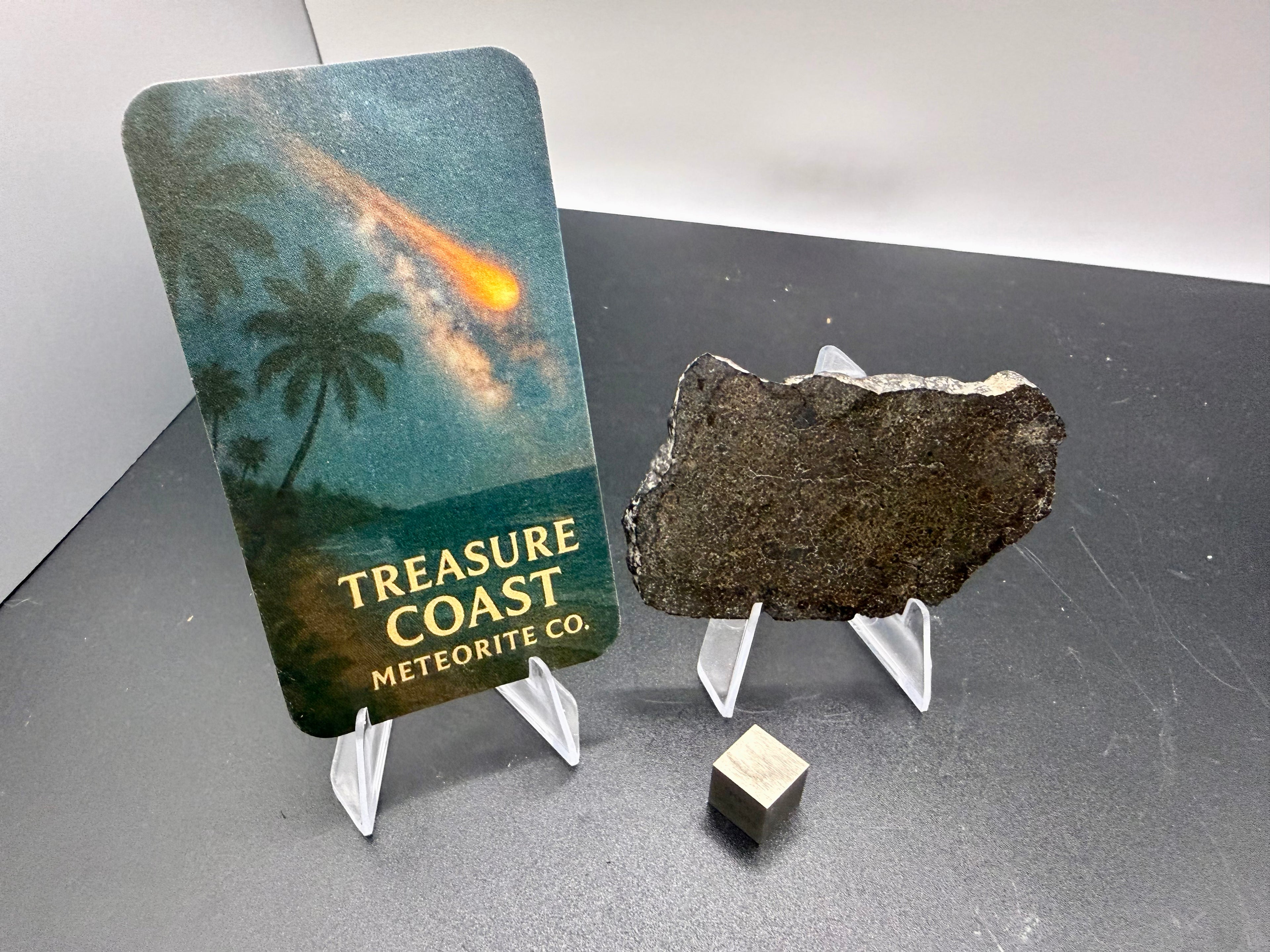 NWA 17920 polished meteorite slice with Treasure Coast Meteorite Co display card