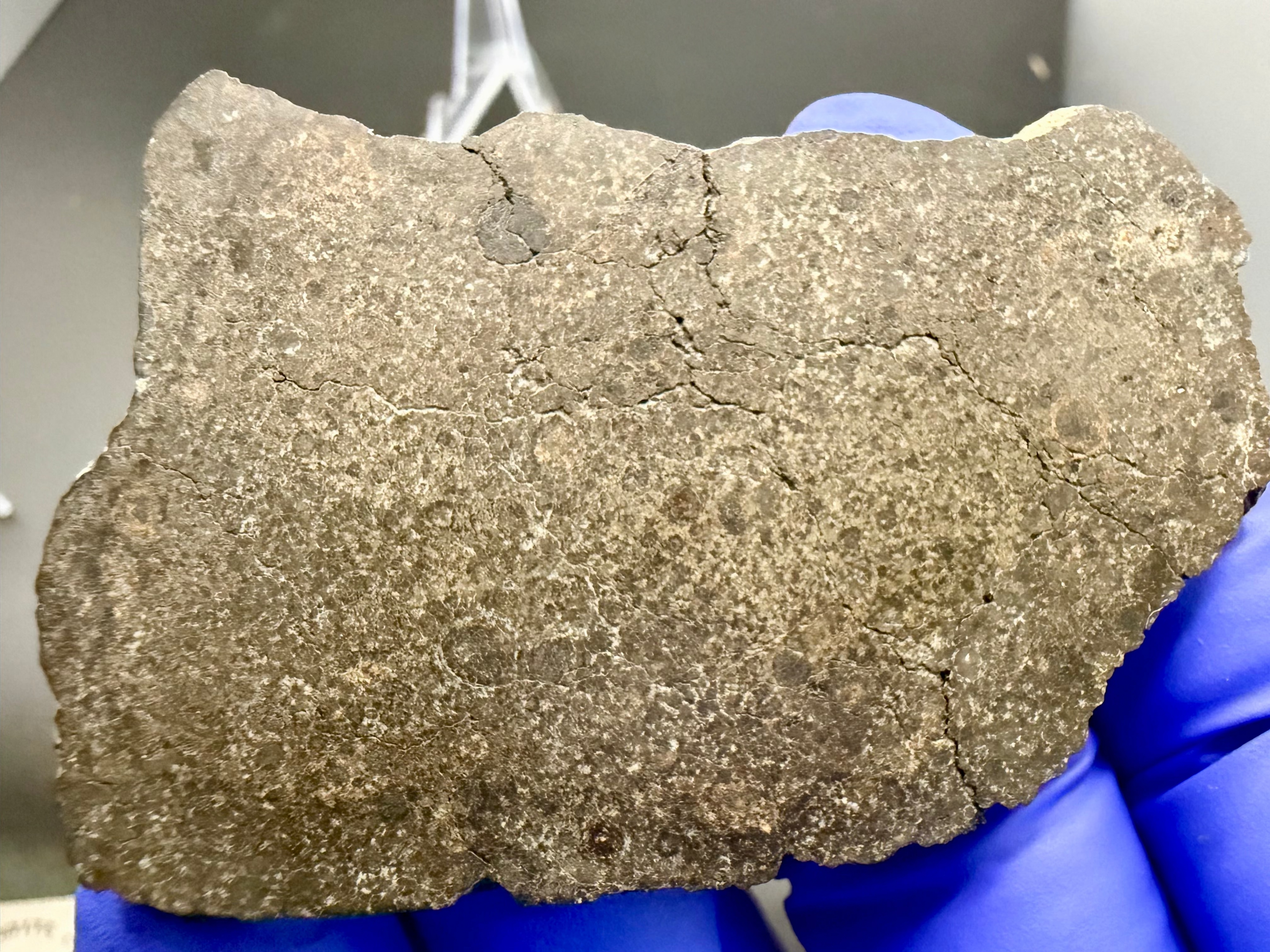 NWA 17920 polished meteorite slice front side