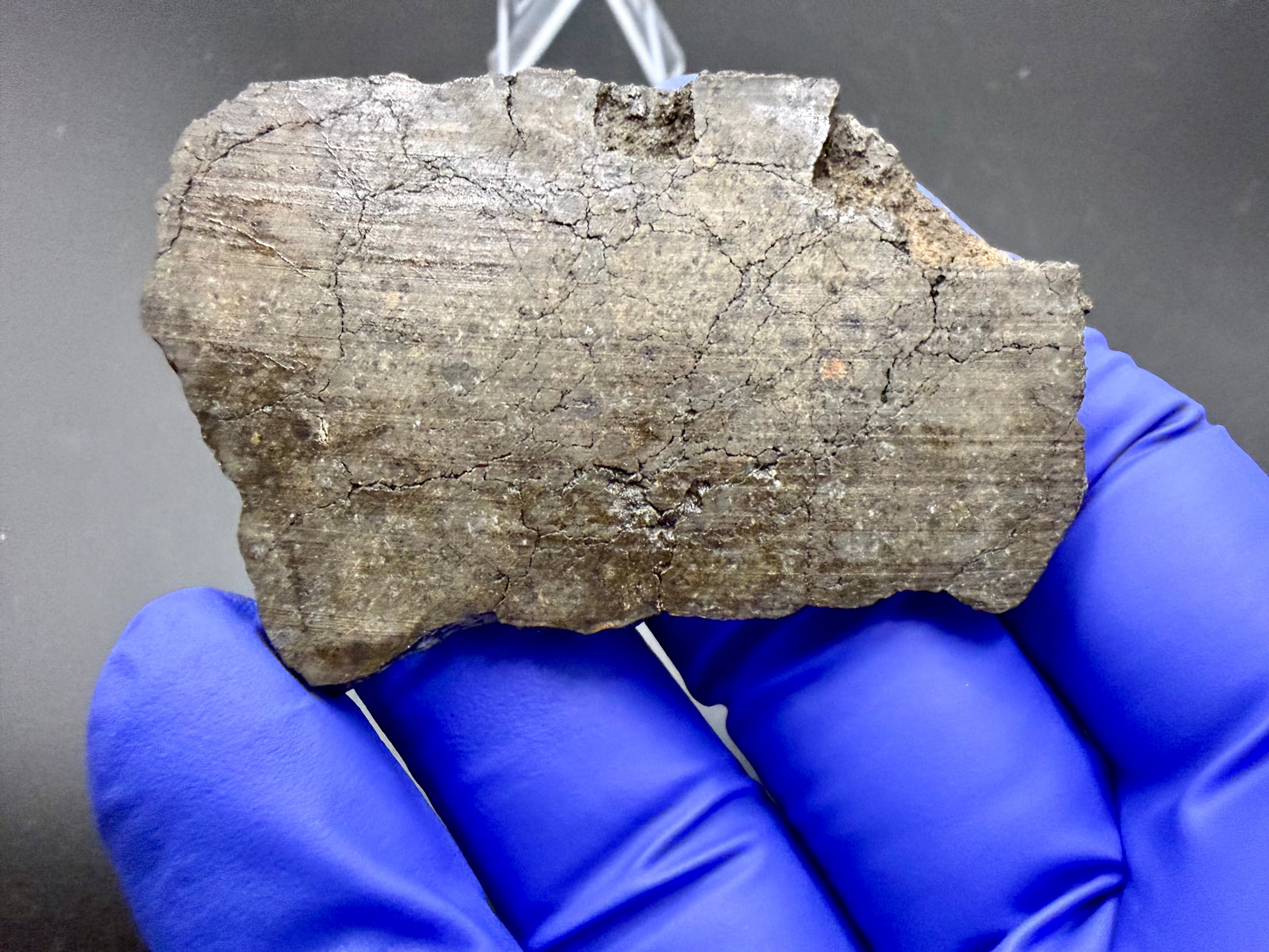 NWA 17920 polished meteorite slice shown in gloved hand back side