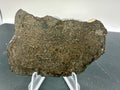 NWA 17920 polished meteorite slice front view on display stand