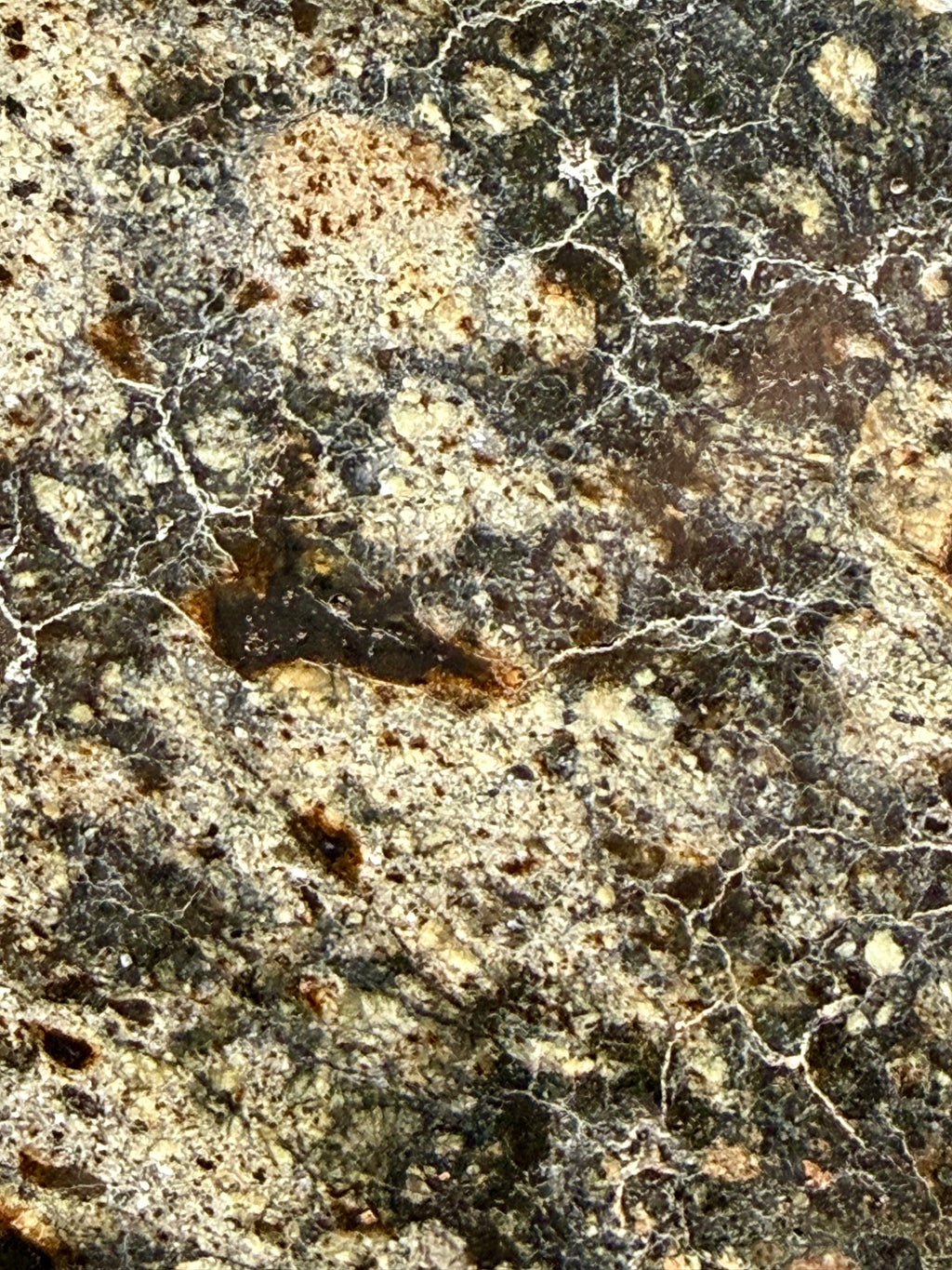 Clast detail in NWA 18048 polymict eucrite meteorite highlighting angular eucrite fragments within dark matrix