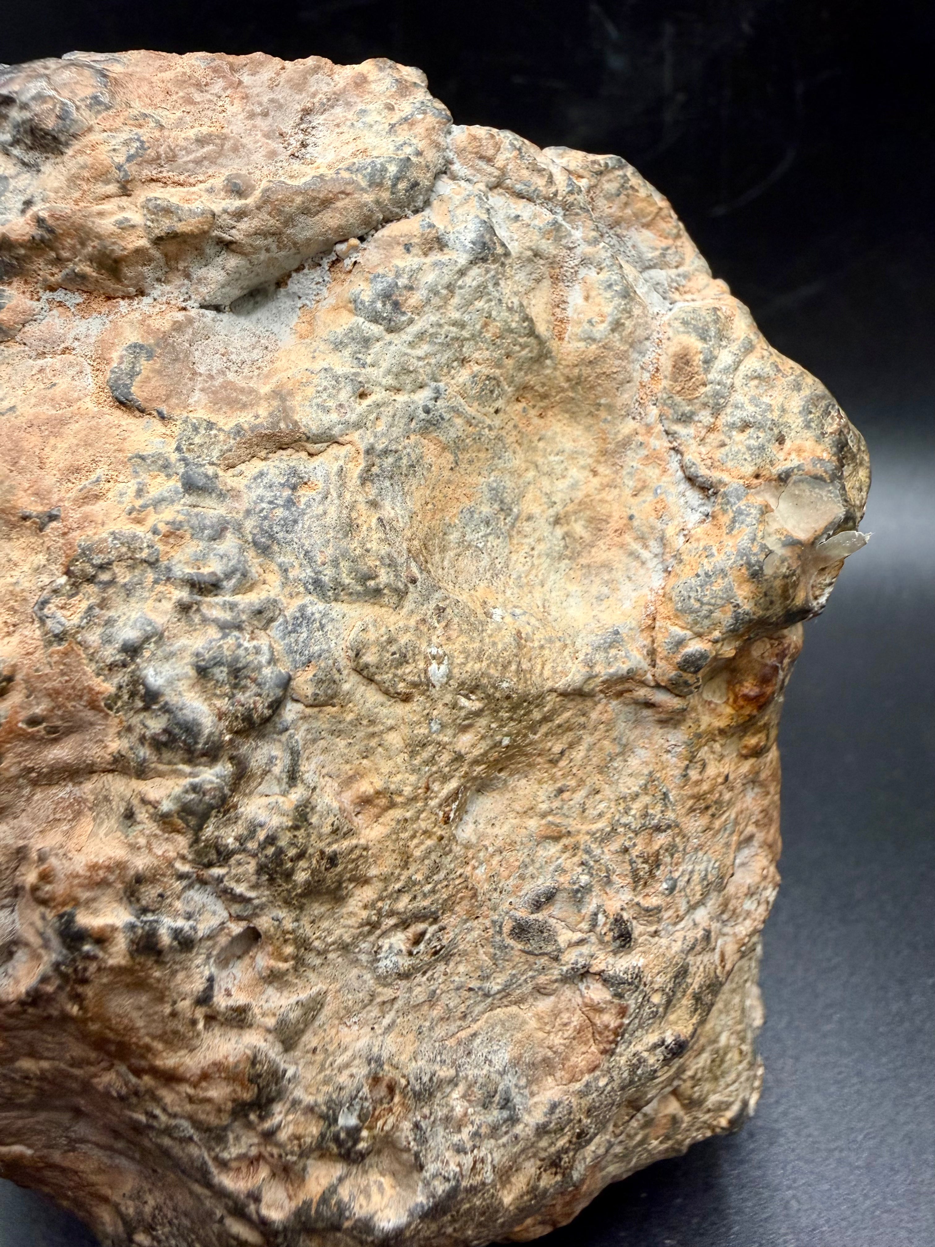 Surface detail of NWA 18048 polymict eucrite meteorite showing remnant fusion crust and weathered desert patina