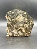 NWA 18048 polymict eucrite meteorite main mass end cut weighing 1530 grams showing brecciated eucrite clasts in dark matrix