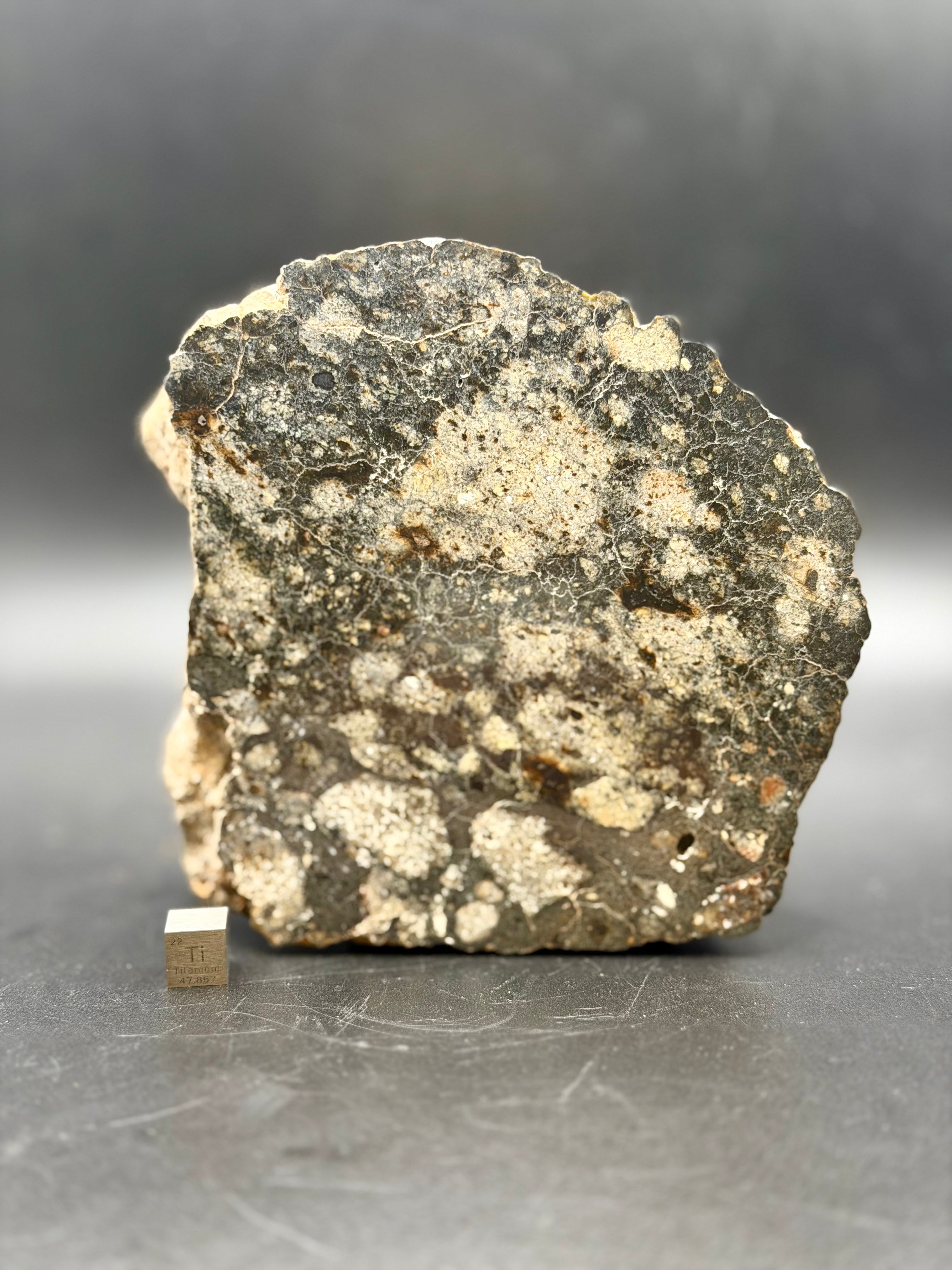 NWA 18048 polymict eucrite meteorite main mass end cut weighing 1530 grams showing brecciated eucrite clasts in dark matrix