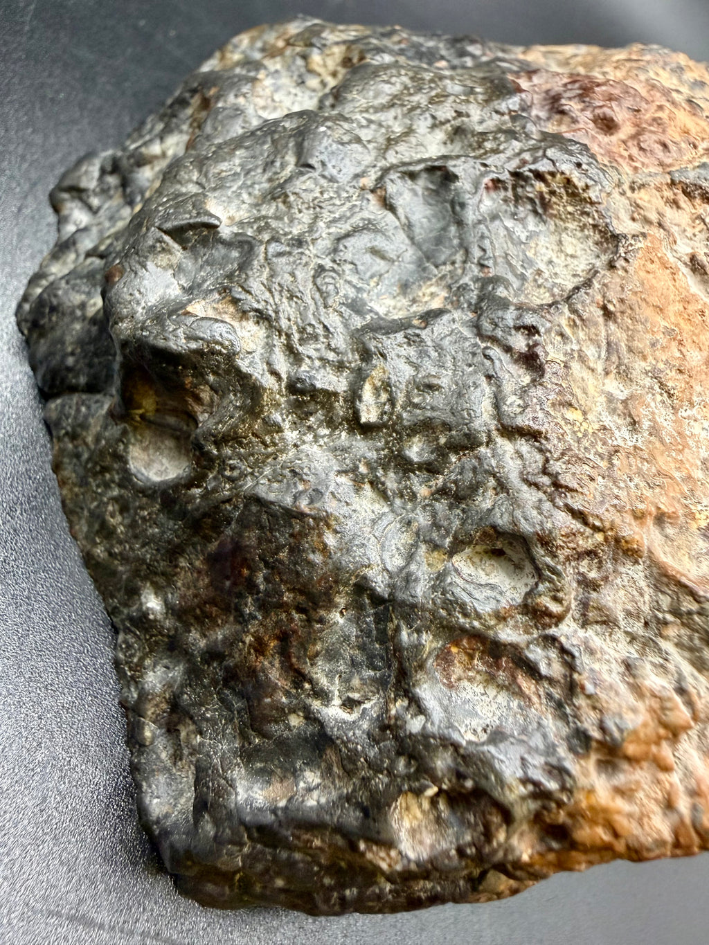 Surface detail of NWA 18048 polymict eucrite meteorite showing remnant melty fusion crust