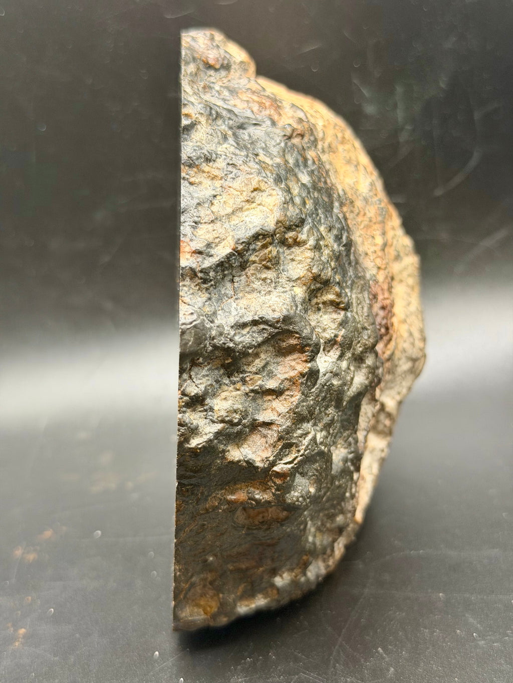 Edge profile of NWA 18048 polymict eucrite meteorite main mass end cut weighing 1530 grams