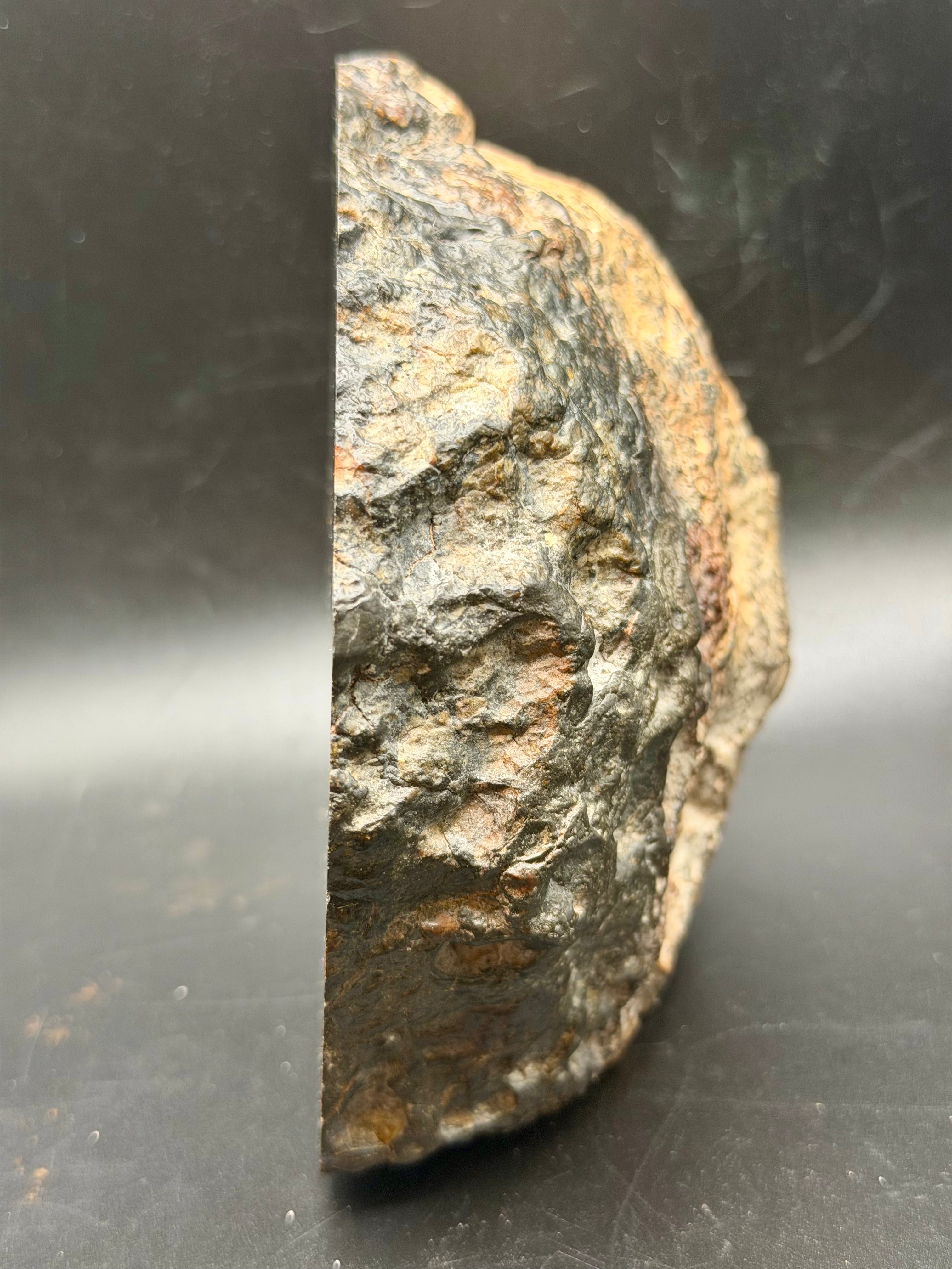 Edge profile of NWA 18048 polymict eucrite meteorite main mass end cut weighing 1530 grams
