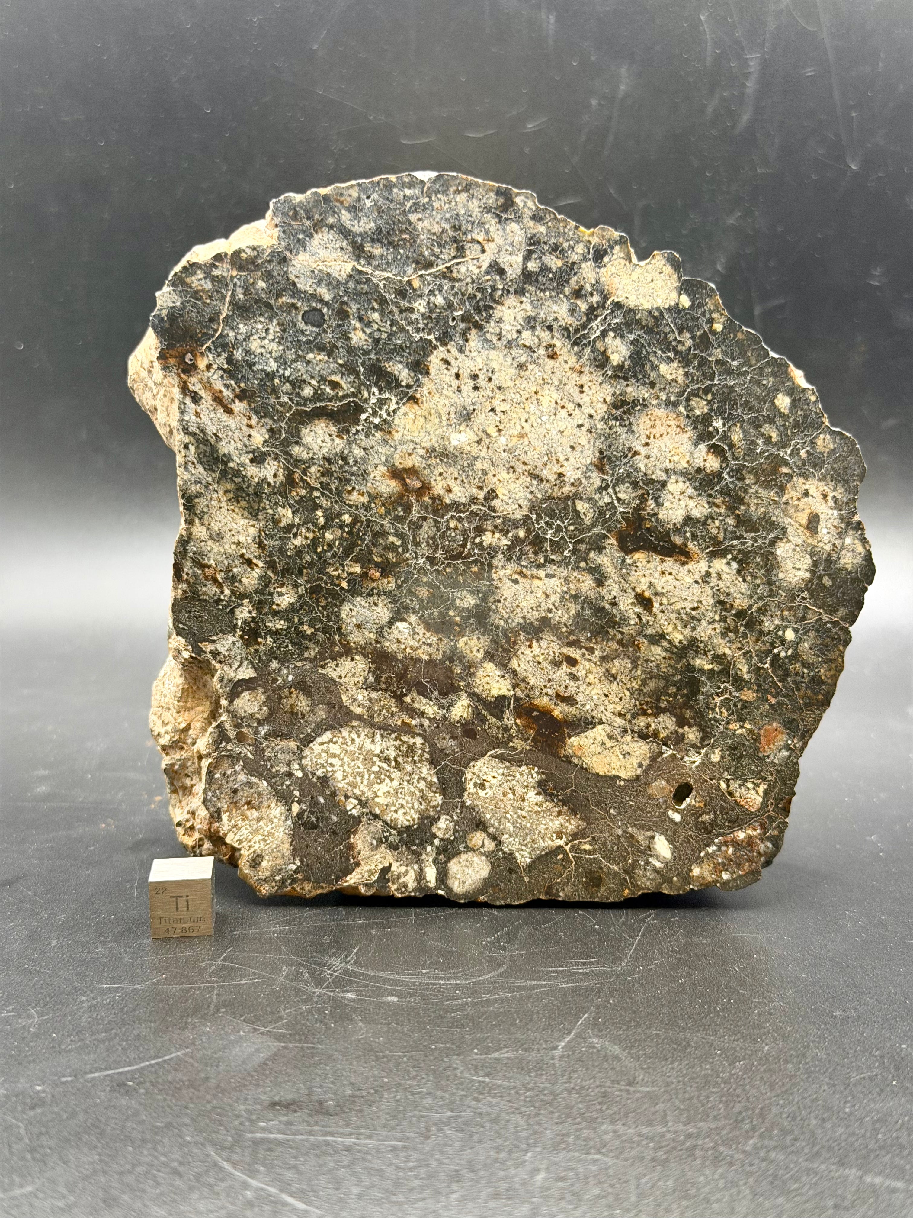Brecciated structure of NWA 18048 polymict eucrite meteorite showing light eucrite clasts within dark impact-melt matrix