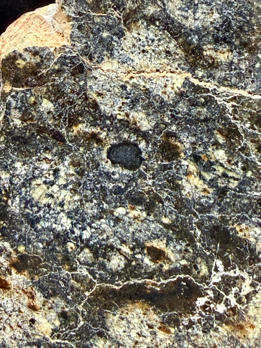 Cross section of large eucrite clast in NWA 18048 polymict eucrite meteorite main mass