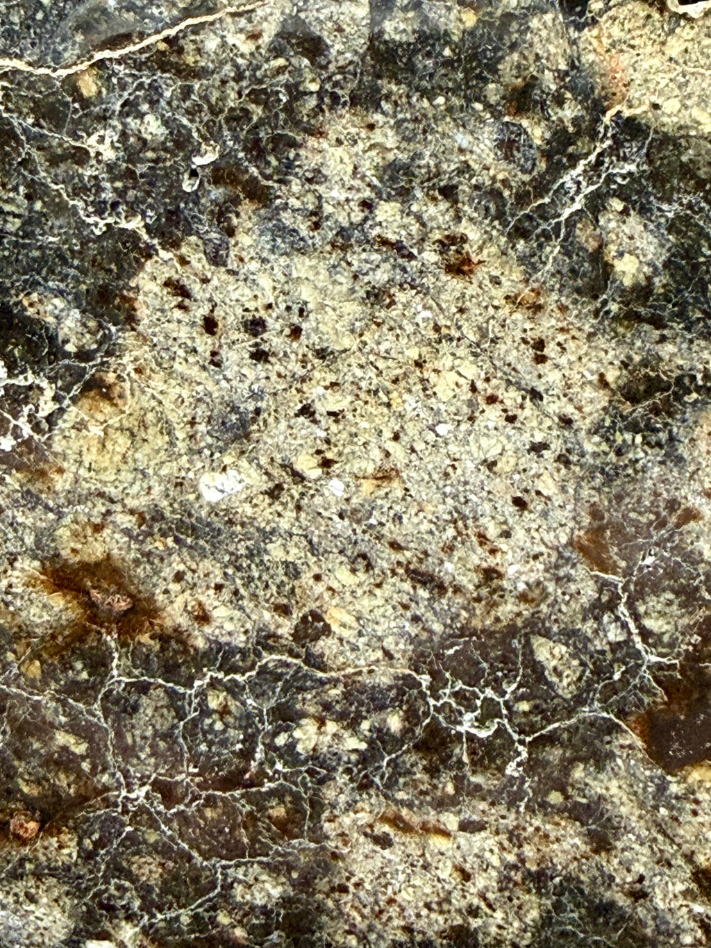 Large eucrite clasts visible in brecciated matrix of NWA 18048 polymict eucrite meteorite main mass