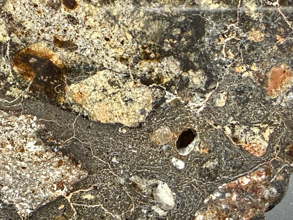 Close-up of impact breccia matrix in NWA 18048 polymict eucrite meteorite showing mixed clasts and melt veins with multiple lithologies