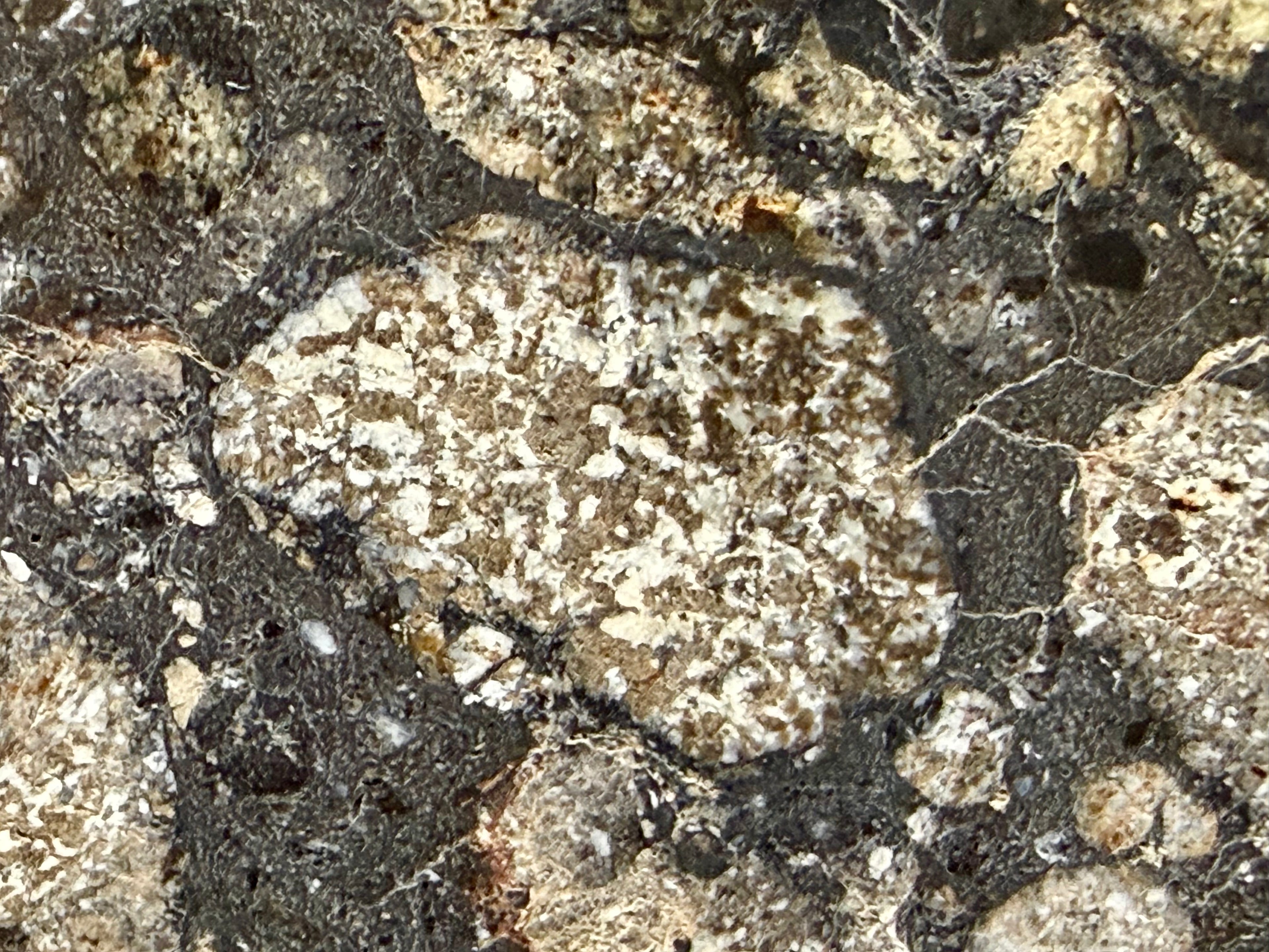 Shock veins and fracture network visible in brecciated matrix of NWA 18048 polymict eucrite meteorite