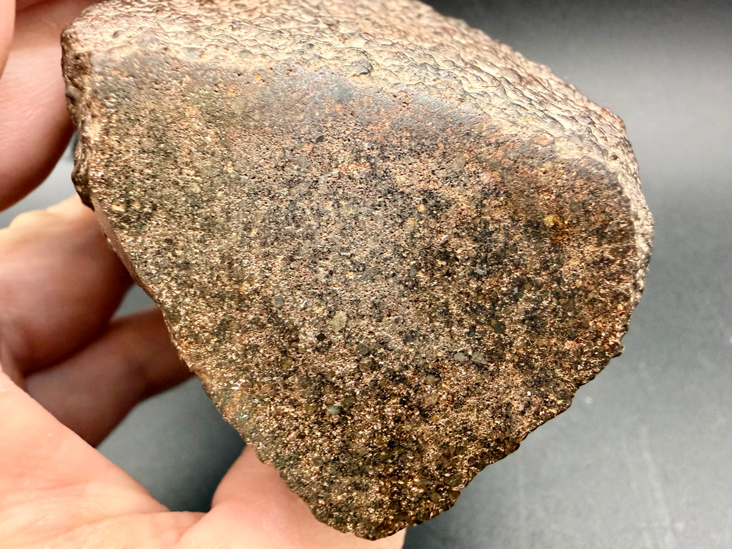 Handheld view of the NWA 18118 classification cut face